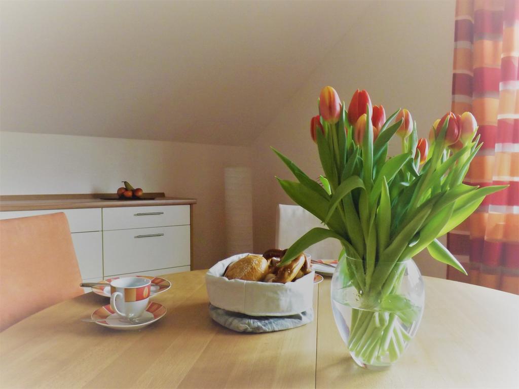 Apartament Feriendomizil Am Rheinbogen Altlussheim Zewnętrze zdjęcie